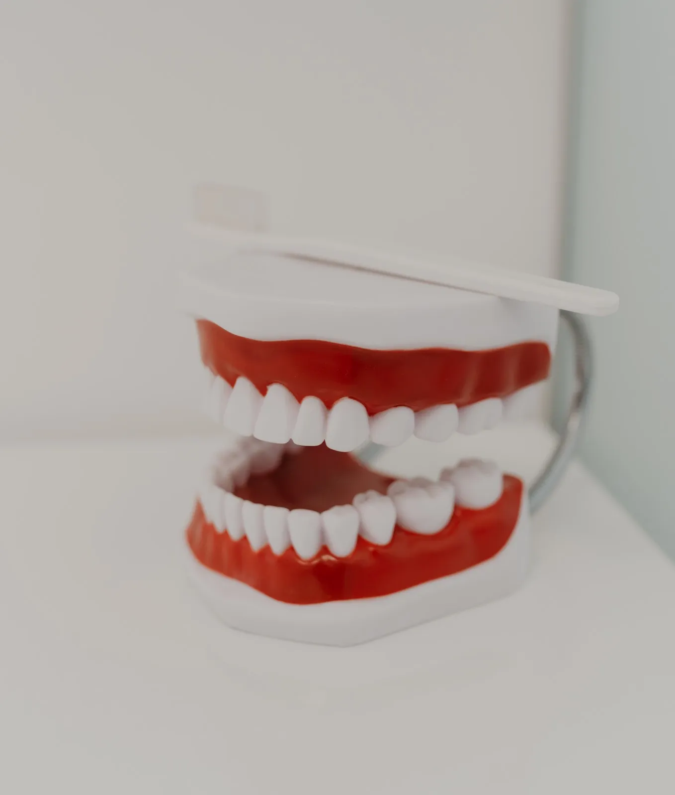 Oralna higijena i profilaksa